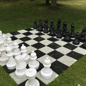 jeu GEANT: ' LES ECHECS"  (jeu dit "lent")