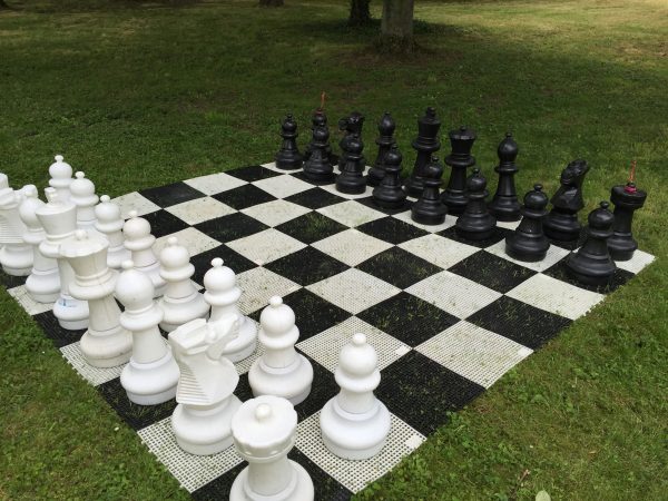 jeu GEANT: ' LES ECHECS"  (jeu dit "lent")