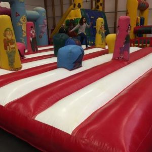 Structure Gonflable "TAPIS A SAUTER CIRQUE"