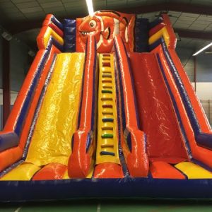 Structure gonflable toboggan  "LE NEMO"